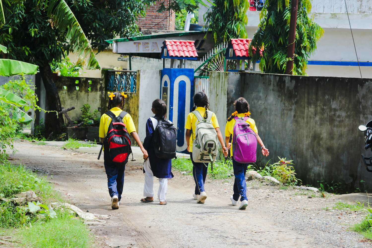 Accessibility challenges faced by students in transport